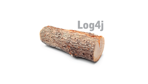 Log4j